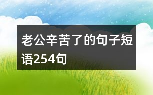 老公辛苦了的句子短語254句