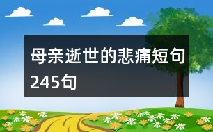 母親逝世的悲痛短句245句