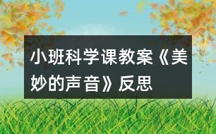 小班科學課教案《美妙的聲音》反思