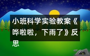 小班科學(xué)實(shí)驗(yàn)教案《嘩啦啦，下雨了》反思