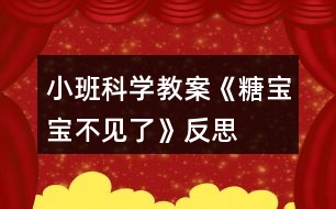 小班科學(xué)教案《糖寶寶不見了》反思