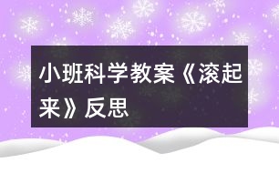 小班科學教案《滾起來》反思