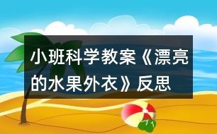 小班科學教案《漂亮的水果外衣》反思