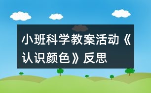 小班科學(xué)教案活動《認(rèn)識顏色》反思