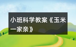 小班科學教案《玉米一家親》