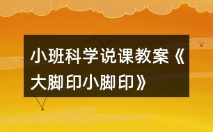 小班科學(xué)說課教案《大腳印、小腳印》