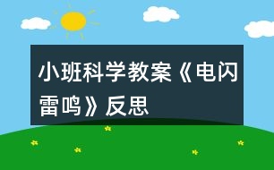 小班科學教案《電閃雷鳴》反思