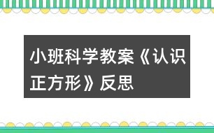 小班科學教案《認識正方形》反思