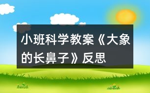 小班科學(xué)教案《大象的長(zhǎng)鼻子》反思