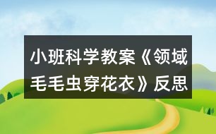 小班科學(xué)教案《領(lǐng)域毛毛蟲(chóng)穿花衣》反思