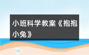 小班科學教案《抱抱小兔》