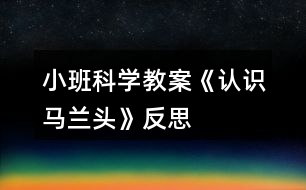 小班科學教案《認識馬蘭頭》反思