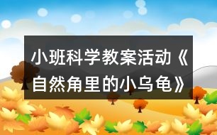 小班科學教案活動《自然角里的小烏龜》反思