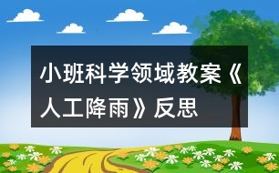 小班科學(xué)領(lǐng)域教案《人工降雨》反思