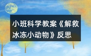 小班科學教案《解救冰凍小動物》反思