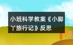 小班科學教案《小腳丫旅行記》反思