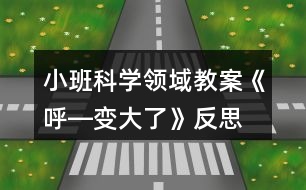 小班科學領域教案《呼―變大了》反思