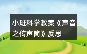 小班科學教案《聲音之傳聲筒》反思