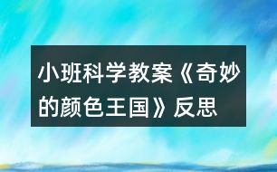 小班科學教案《奇妙的顏色王國》反思