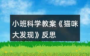 小班科學教案《貓咪大發(fā)現(xiàn)》反思