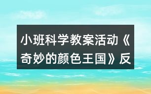 小班科學(xué)教案活動《奇妙的顏色王國》反思