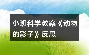 小班科學教案《動物的影子》反思