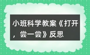 小班科學(xué)教案《打開，嘗一嘗》反思