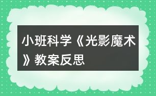 小班科學《光影魔術》教案反思