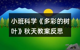 小班科學(xué)《多彩的樹(shù)葉》秋天教案反思