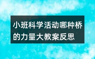 小班科學(xué)活動哪種橋的力量大教案反思