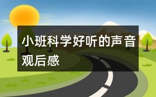 小班科學(xué)好聽的聲音觀后感