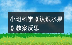 小班科學《認識水果》教案反思