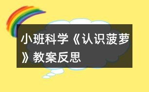 小班科學(xué)《認(rèn)識菠蘿》教案反思