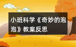 小班科學《奇妙的泡泡》教案反思