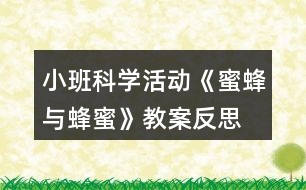 小班科學(xué)活動《蜜蜂與蜂蜜》教案反思