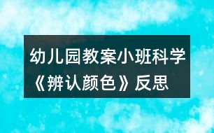 幼兒園教案小班科學(xué)《辨認顏色》反思