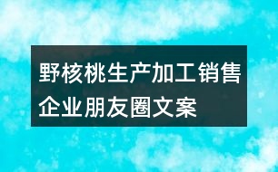 野核桃生產(chǎn)、加工、銷售企業(yè)朋友圈文案32句