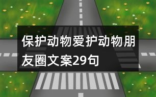 保護(hù)動(dòng)物、愛護(hù)動(dòng)物朋友圈文案29句