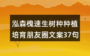 泓森槐速生樹(shù)種種植培育朋友圈文案37句