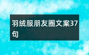 羽絨服朋友圈文案37句