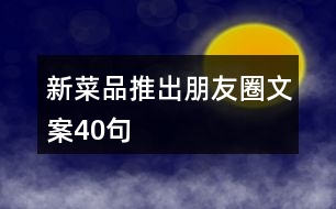 新菜品推出朋友圈文案40句