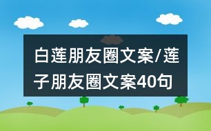 白蓮朋友圈文案/蓮子朋友圈文案40句