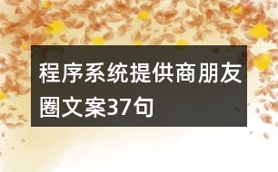 程序系統提供商朋友圈文案37句