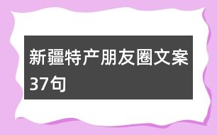 新疆特產朋友圈文案37句