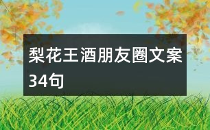 梨花王酒朋友圈文案34句