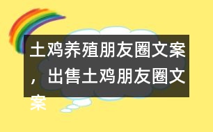 土雞養(yǎng)殖朋友圈文案，出售土雞朋友圈文案37句