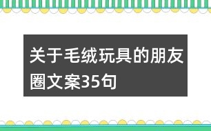 關(guān)于毛絨玩具的朋友圈文案35句