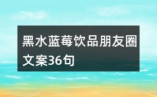 黑水藍(lán)莓飲品朋友圈文案36句