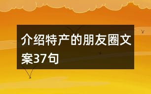 介紹特產(chǎn)的朋友圈文案37句