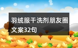 羽絨服干洗劑朋友圈文案32句